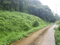 토지/임야 - 임야, 충청북도 청주시 흥덕구 강내면 산단리 : 청주교차로 NZINE 부동산 토지/임야 - 임야