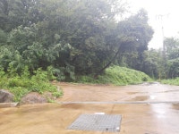 토지/임야 - 임야, 충청북도 청주시 흥덕구 강내면 산단리 : 청주교차로 NZINE 부동산 토지/임야 - 임야