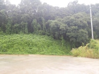 토지/임야 - 임야, 충청북도 청주시 흥덕구 강내면 산단리 : 청주교차로 NZINE 부동산 토지/임야 - 임야