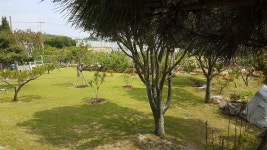 전원주택, 충청북도 음성군 원남면 구안리 : 청주교차로 NZINE 부동산 전원주택