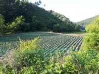 토지/임야 - 답, 충청북도 괴산군 청천면 선평리 : 청주교차로 NZINE 부동산 토지/임야 - 답