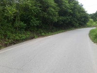 토지/임야 - 임야, 충청북도 청주시 흥덕구 강내면 당곡리 : 청주교차로 NZINE 부동산 토지/임야 - 임야