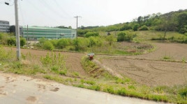 토지/임야, 충청북도 청주시 흥덕구 강내면 당곡리 : 청주교차로 NZINE 부동산 토지/임야