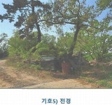 단독/다가구, 충청북도 청주시 흥덕구 옥산면 남촌리 : 청주교차로 NZINE 부동산 단독/다가구