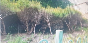 토지/임야, 충청북도 진천군 광혜원면 구암리 : 청주교차로 NZINE 부동산 토지/임야