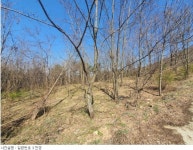 토지/임야, 충청북도 보은군 삼승면 천남리 : 청주교차로 NZINE 부동산 토지/임야