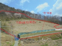 청주교차로 NZINE NZINE 청주교차로