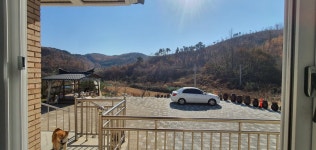 청주교차로 NZINE NZINE 청주교차로