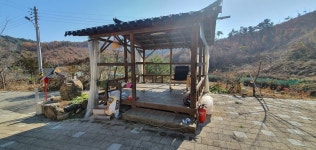 청주교차로 NZINE NZINE 청주교차로