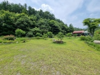 청주교차로 NZINE