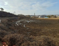 청주교차로 NZINE NZINE 청주교차로