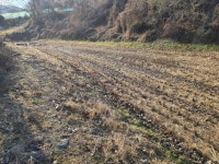 토지/임야 - 답, 충청북도 청주시 흥덕구 강내면 산단리 : 청주교차로 NZINE 부동산 토지/임야 - 답