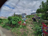 토지/임야 - 대, 충청북도 청주시 청원구 정북동 : 청주교차로 NZINE 부동산 토지/임야 - 대