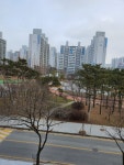 분평주공6단지, 충청북도 청주시 서원구 분평동 분평주공6단지 : 청주교차로 NZINE 부동산 분평주공6단지