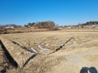 토지/임야 - 답, 충청북도 청주시 청원구 주중동 : 청주교차로 NZINE 부동산 토지/임야 - 답