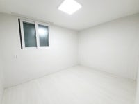 청주교차로 NZINE NZINE 청주교차로