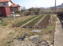 청주교차로 NZINE NZINE 청주교차로