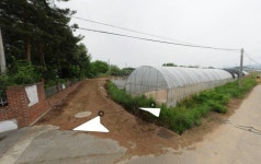 청주교차로 NZINE NZINE 청주교차로