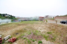 청주교차로 NZINE NZINE 청주교차로