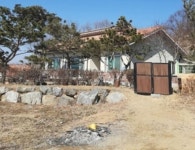 청주교차로 NZINE NZINE 청주교차로