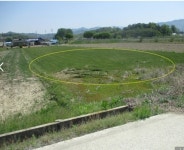 청주교차로 NZINE NZINE 청주교차로