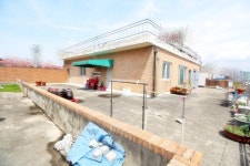 청주교차로 NZINE NZINE 청주교차로