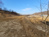 청주교차로 NZINE NZINE 청주교차로