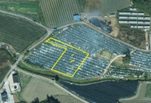 청주교차로 NZINE NZINE 청주교차로