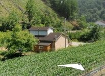 단독/다가구, 충청북도 괴산군 청안면 운곡리 : 청주교차로 NZINE 부동산 단독/다가구