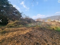 토지/임야, 충청북도 청주시 상당구 가덕면 병암리 : 청주교차로 NZINE 부동산 토지/임야