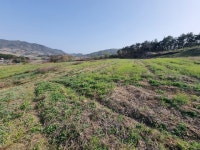 토지/임야 - 임야, 충청북도 보은군 삼승면 원남리 : 청주교차로 NZINE 부동산 토지/임야 - 임야