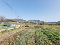토지/임야 - 임야, 충청북도 보은군 삼승면 원남리 : 청주교차로 NZINE 부동산 토지/임야 - 임야