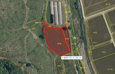 청주교차로 NZINE