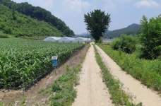 청주교차로 NZINE