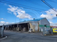 청주교차로 NZINE