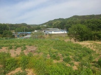 토지/임야 - 전, 충청북도 청주시 청원구 북이면 토성리 : 청주교차로 NZINE 부동산 토지/임야 - 전