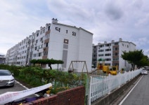 청주교차로 NZINE NZINE 청주교차로