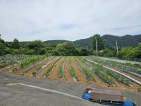 청주교차로 NZINE