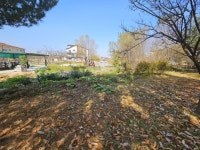 청주교차로 NZINE