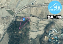 청주교차로 NZINE