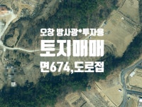 청주교차로 NZINE