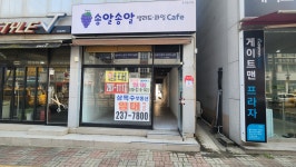 청주교차로 NZINE