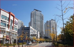 청주교차로 NZINE