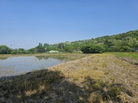 청주교차로 NZINE