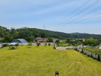 청주교차로 NZINE