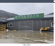 청주교차로 NZINE NZINE 청주교차로