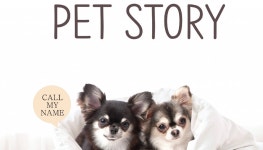 반려견 예절 교육 - 라이프, 라이프 : 청주교차로 NZINE 커뮤니티