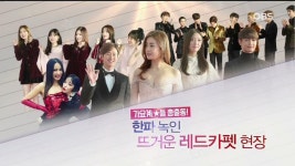 닥터s 건강의 정석 닥터