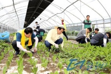 2020년 - 홍보관 옥천군 - 홍보관 - 2020년