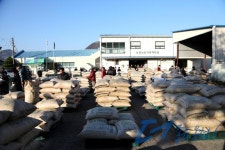 사진DB - 홍보관 옥천군 - 홍보관 - 사진DB